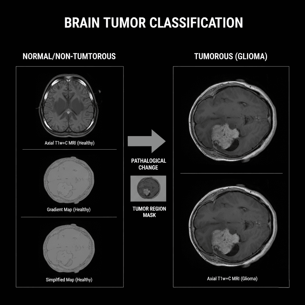 Brain Tumor Classification
